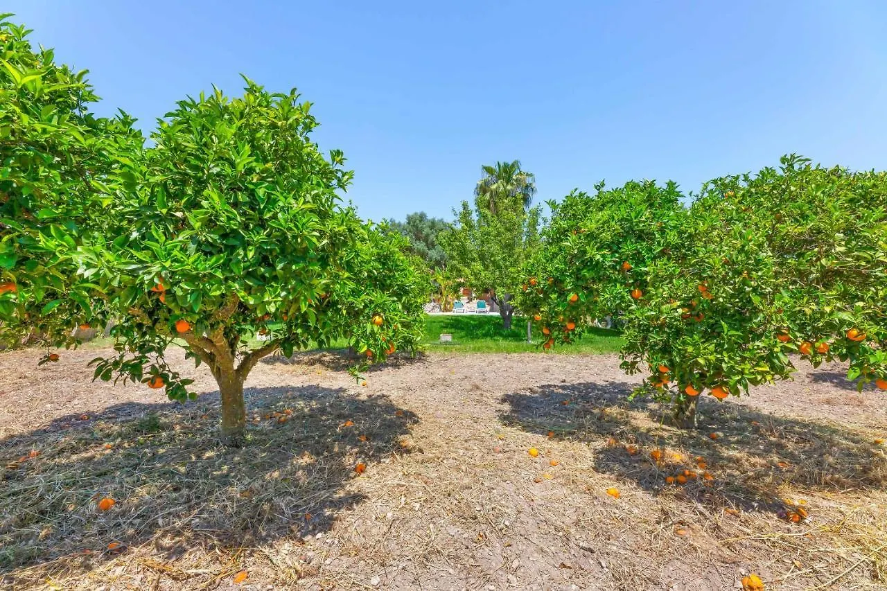 Holiday home Finca Can Miro Sant Joan